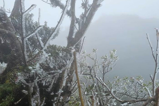 Ngay lúc này, Việt Nam xuất hiện băng tuyết