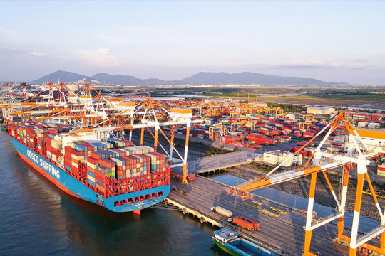 Gặp Tổng Bí thư, tập đoàn vận tải Maersk ngỏ ý đầu tư cảng container hiện đại tại Việt Nam