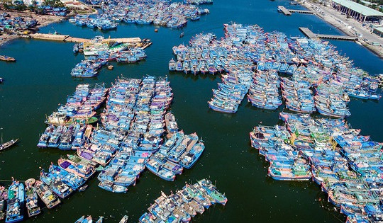 Khánh thành dự án nâng cấp cảng cá lớn nhất miền Trung, tiếp nhận 300 tàu/ngày