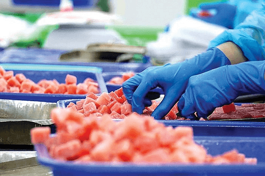 'Siêu thực phẩm' Việt lên ngôi: Thu về gần 800 triệu USD, EU - Italy tích cực chốt đơn, Ai Cập thành 'điểm vàng'