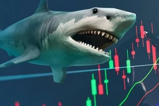 Hơn 70 quỹ ETF điều chỉnh danh mục tháng 10: Loạt cổ phiếu ngân hàng bị xả hàng chục triệu đơn vị; MSN, FPT, MWG được 'săn lùng'