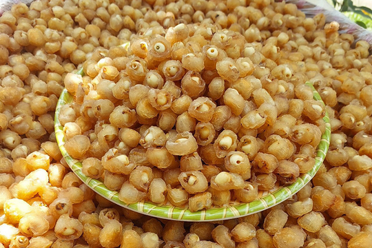 Trung Quốc siêu mê 'đặc sản ngàn đô' của Việt Nam: Diện tích trồng hơn 68.000 ha, Hưng Yên thành thủ phủ chế biến giá 400.000 đồng/kg