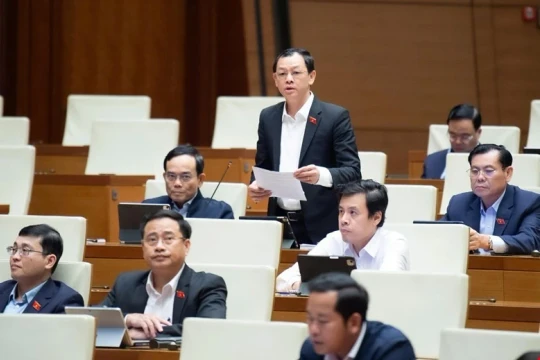 Đại biểu ngành y muốn gặp người chấp bút báo cáo gửi Quốc hội