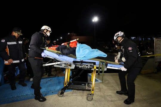 Phà chở 267 người bị mắc cạn, cảnh sát lập tức vào cuộc, 2 thủy thủ bị bắt khẩn cấp