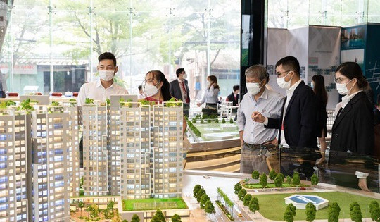 Kinh nghiệm ‘xương máu’ cho người trẻ khi chọn mua chung cư