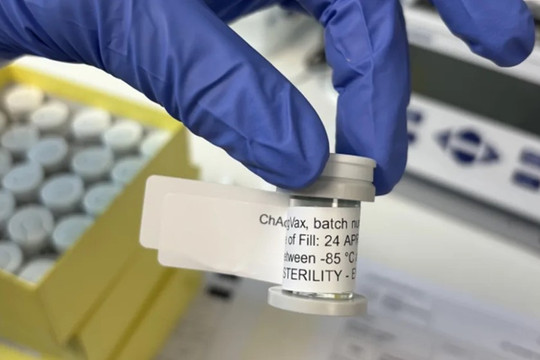 Sắp thử nghiệm lâm sàng vaccine điều trị bệnh ung thư khiến 24.000 người Việt mắc mỗi năm