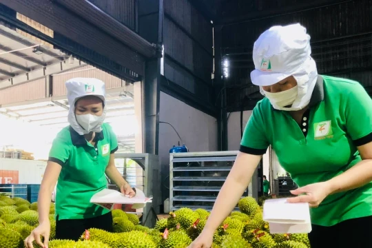 Rau quả Việt xuất khẩu gây bất ngờ