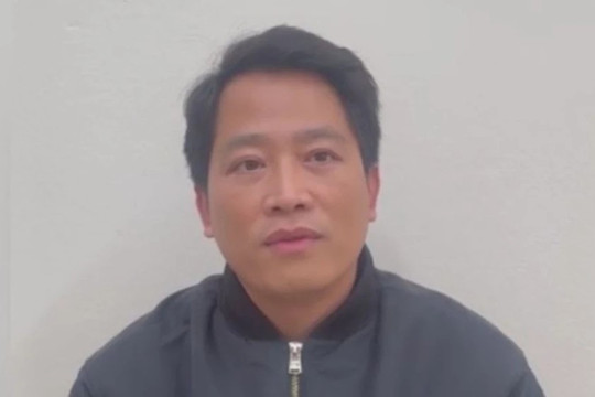 Tổng Giám đốc Mailisa thừa nhận lừa khách hàng Việt trong suốt nhiều năm