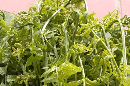Loại rau được người Trung Quốc xem như 'rau trường sinh' nhưng ở Việt Nam lại mọc dại, ít người biết