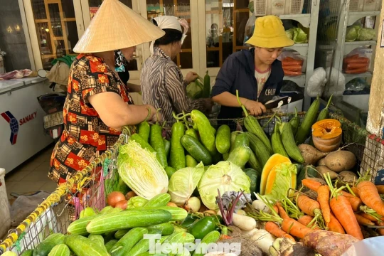 Hà Nội: Giá rau xanh có loại 180.000 đồng/kg, tôm hùm chỉ 200.000 đồng/kg