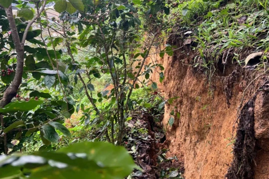 Quả đồi ở Lâm Đồng xuất hiện vết nứt dài hơn 100m, khẩn trương di dời người dân