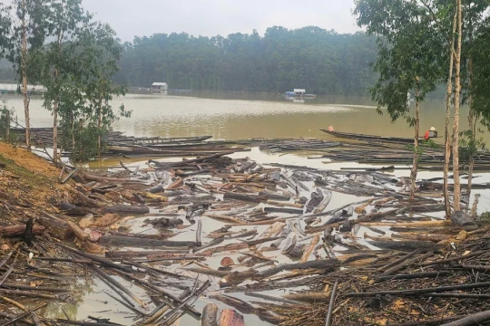 Hàng chục tấn gỗ, củi theo lũ dồn về hồ thủy điện tại Huế