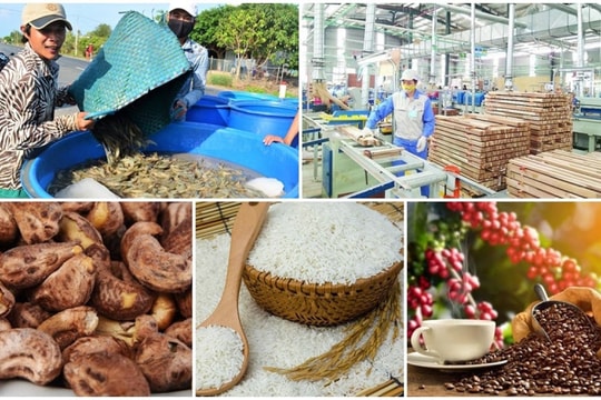 3 'hạt vàng' của Việt Nam phá mọi kỷ lục xuất khẩu, mục tiêu 14 tỷ USD trong tầm tay