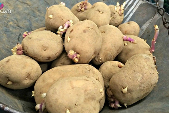 5 loại rau củ có thể 'đầu độc' gan, nhiều người vẫn ăn vô tư