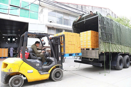 Huy động tối đa nhân lực, máy móc, xuyên đêm sản xuất 30 tấn lương khô cứu trợ đồng bào vùng lũ Trung Bộ