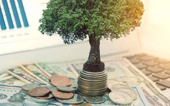 6 doanh nghiệp sắp chốt quyền trả cổ tức bằng tiền trong tháng 12