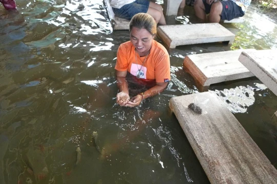 Thái Lan hứng đợt lũ nghiêm trọng nhất trong 3 thế kỷ, Malaysia sơ tán hàng vạn dân