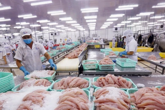 Châu Âu siết mạnh truy xuất nguồn gốc thủy sản