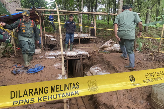 Đóng cửa gần 300 mỏ khai thác vàng, phát hiện nhiều dấu hiệu phạm tội nghiêm trọng