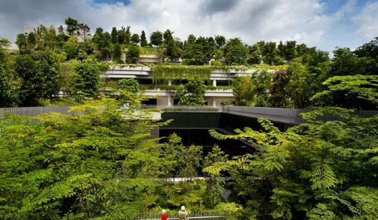 Bất động sản dưỡng lão vào ‘tầm ngắm’ của doanh nghiệp: Vingroup, Novaland, Sun Group sẽ đi trước đón đầu?