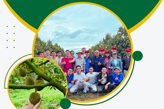 Tấm áo mới của Hưng Thắng Lợi và cam kết 'đây là công ty cực tốt' của bầu Đức trước thời điểm IPO