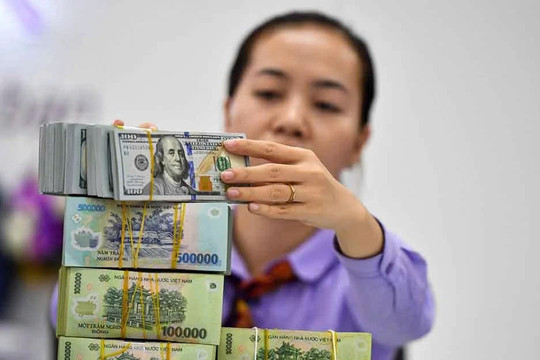Tỷ giá USD/VND tăng 7,7% từ đầu năm, áp lực lên VND tiếp tục gia tăng
