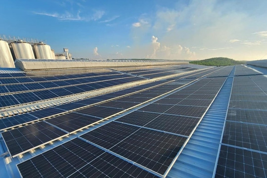 Đạt Phương (DPG) tăng sở hữu tại dự án kính năng lượng mặt trời 2.200 tỷ đồng