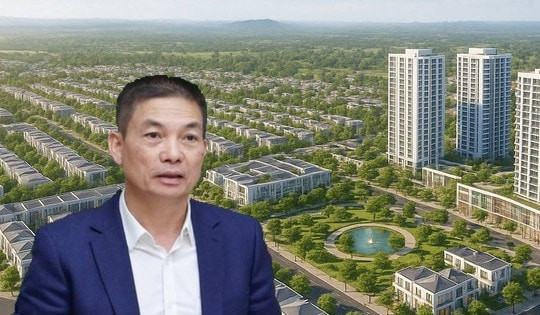 Tập đoàn Sơn Hải bất ngờ thông báo tuyển dụng Giám đốc, nhấn mạnh yêu cầu đặc biệt