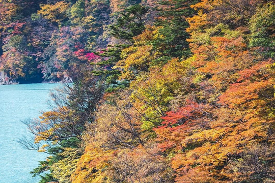 Quốc gia 3 năm liên tiếp được báo Mỹ vinh danh 'hấp dẫn nhất thế giới', đón lượng khách Việt cao kỷ lục