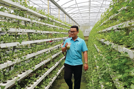 Kinh tế tuần hoàn: Vướng nhất không phải ở luật, mà ở thực thi