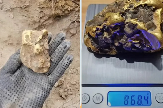 Đang đào đất, người đàn ông nhặt được cục vàng gần 1kg, trị giá hơn 2,6 tỷ đồng