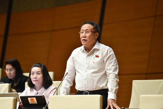 ĐBQH: Dự án hàng ngàn tỷ đồng hưởng ưu đãi đặc biệt nhưng không chuyển giao công nghệ cần ‘thu hồi và bồi hoàn gấp đôi'