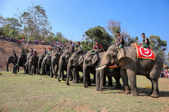 Tỉnh được mệnh danh là 'thủ phủ cà phê' của Việt Nam, là nơi vua Lê Thánh Tông mở mang bờ cõi trong sử Việt
