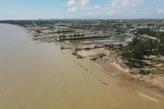 'Hải sản nhà giàu' đối mặt khủng hoảng xuất khẩu sau lũ lụt lịch sử