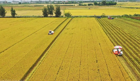 Kể từ nay, người sở hữu nhiều đất nông nghiệp sẽ hưởng lợi lớn