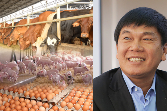 HPA và cuộc so găng mô hình 2F - 3F trong ngành chăn nuôi: Ai hiệu quả hơn?