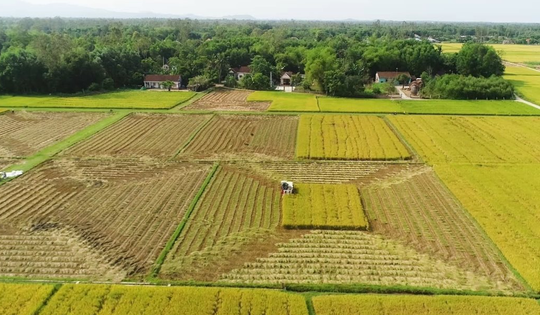 Kể từ nay, các trường hợp này sẽ được kéo dài thời hạn miễn thuế sử dụng đất nông nghiệp
