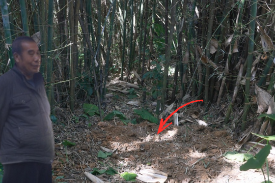 Đang đào giun câu cá, lão nông phát hiện kho báu nặng 30kg bên dưới bụi tre, bảo tàng huyện lập tức xuống làm việc