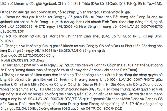 Khoản nợ hơn 460 tỷ đồng của BĐS Đông Dương bị ngân hàng rao bán