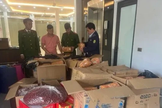 Ninh Bình: Phát hiện 3,5 tạ đông trùng hạ thảo và táo đỏ 'mập mờ nguồn gốc' trong một hộ kinh doanh