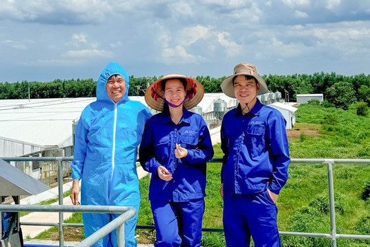 Doanh nghiệp FDI áp đảo một mảng kinh doanh 'béo bở' suốt một thập kỷ: Nông nghiệp Hòa Phát tung chiến lược mới, liệu có xoay chuyển cục diện?