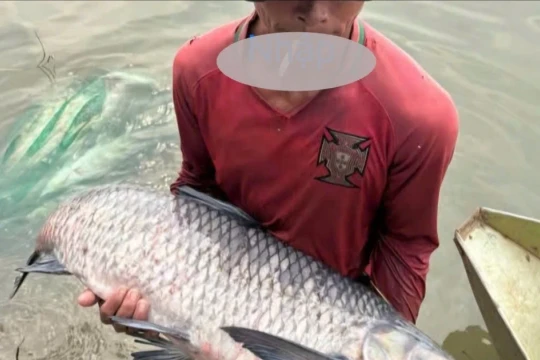 Người dân bắt được nhiều cá 'khủng' sau khi thủy điện Trị An ngưng xả tràn