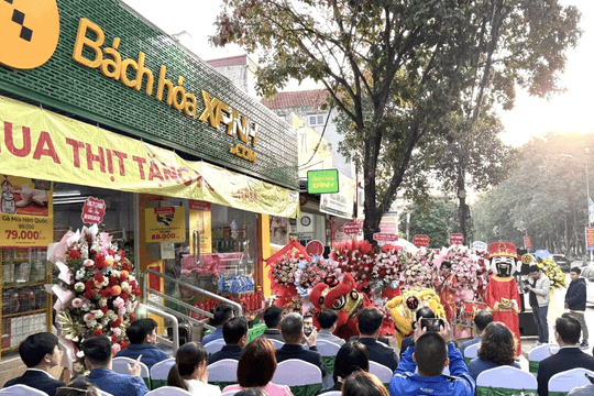 MWG: Bách Hóa Xanh đổ bộ miền Bắc, khai trương đồng loạt 20 cửa hàng, tung chính sách sốc 'khó tin'