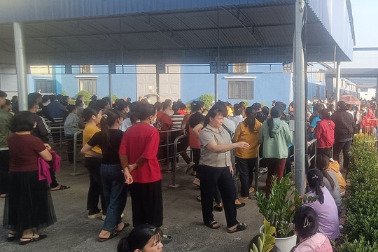 Hàng trăm công nhân Phú Thọ đình công vì thường xuyên bị quản đốc người Trung Quốc quát mắng