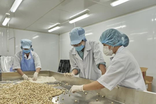 Doanh nghiệp phía Nam ‘khát’ lao động cuối năm