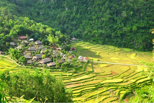 Nông nghiệp bền vững: Giải pháp công nghệ để tăng sản lượng và giảm phát thải