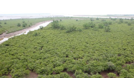 Ninh Bình chính thức có vườn di sản ASEAN đầu tiên khu vực miền Bắc