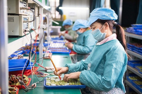 Hơn 275.600 doanh nghiệp thành lập mới và quay lại hoạt động trong 11 tháng, song rủi ro rút lui vẫn cao
