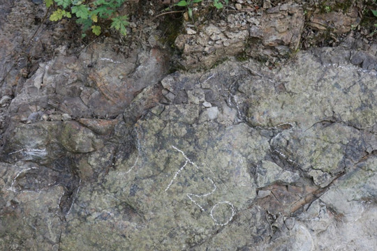 Phát hiện dấu chân khủng long có niên đại hơn 200 triệu năm ở nước cạnh Việt Nam