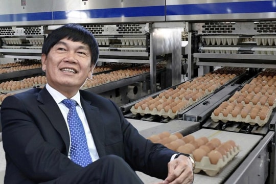 Nông nghiệp Hòa Phát (HPA) bước vào thời kỳ vàng: Lợi nhuận lập đỉnh, định giá IPO hấp dẫn nhà đầu tư